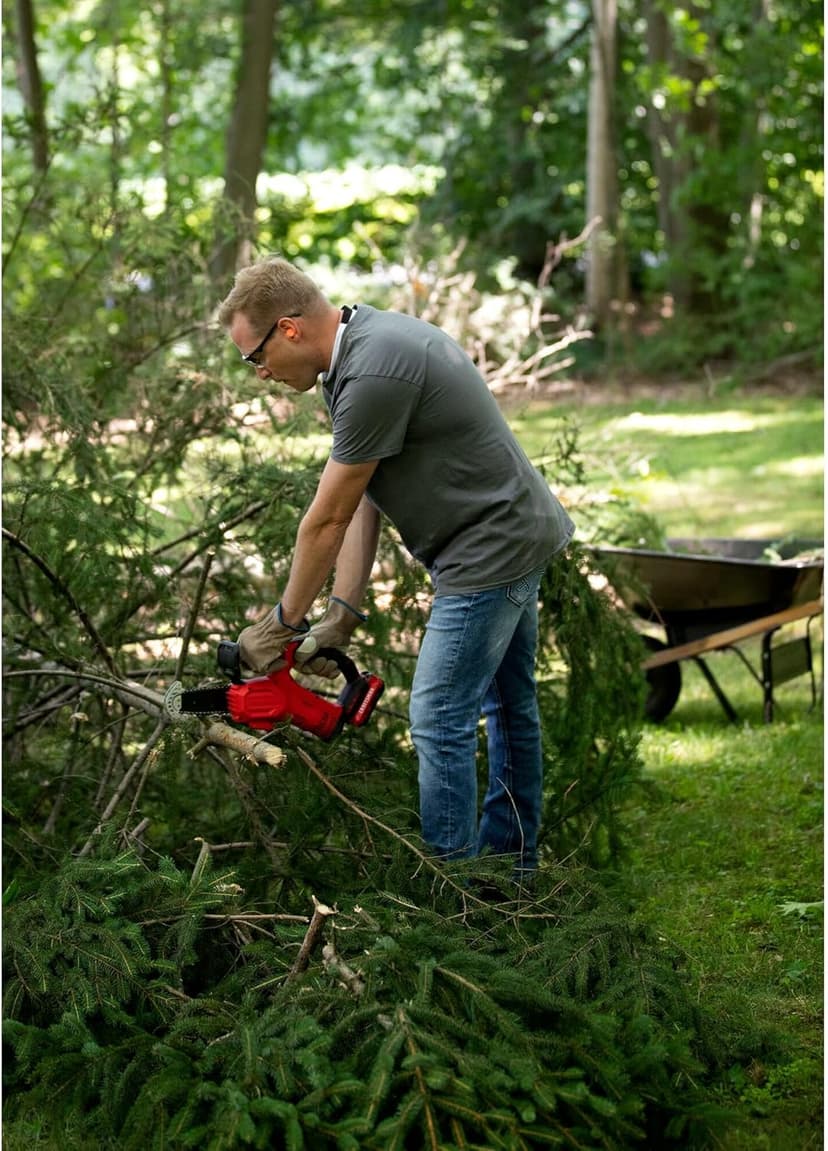 CRAFTSMAN V20 Cordless Pruning Saw, 6" Chain, Small Chainsaw with Battery and Charger Included (CMCCS320D1)