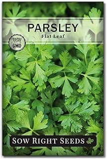 Sow Right Seeds - Flat Leaf Parsley Seed for Planting - Non-GMO Heirloom Packet with Instructions to Plant and Grow a Kitchen Herb Garden - Indoor or Outdoor - Great for Hydroponics Growing (1)