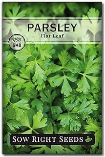 Sow Right Seeds - Flat Leaf Parsley Seed for Planting - Non-GMO Heirloom Packet with Instructions to Plant and Grow a Kitchen Herb Garden - Indoor or Outdoor - Great for Hydroponics Growing (1)