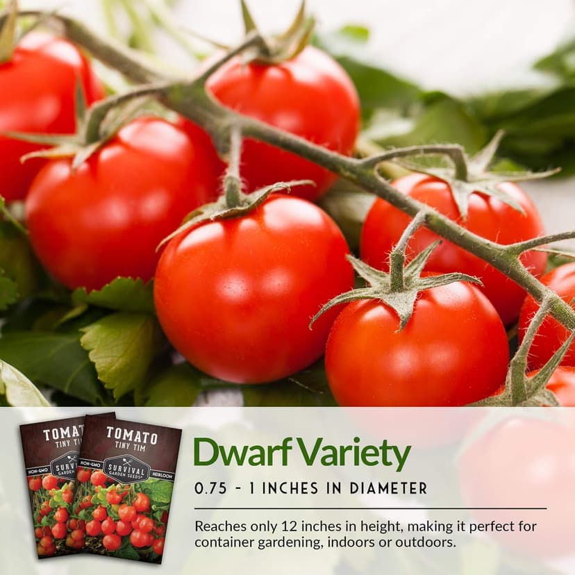 Survival Garden Seeds - Tiny Tim Tomato Seeds for Planting - 1 Pack with Instructions to Grow in Your Home Vegetable Garden - Non-GMO Heirloom Variety