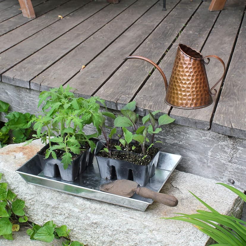 Achla Designs Dainty Hammered Copper Watering Can, 3 Pint