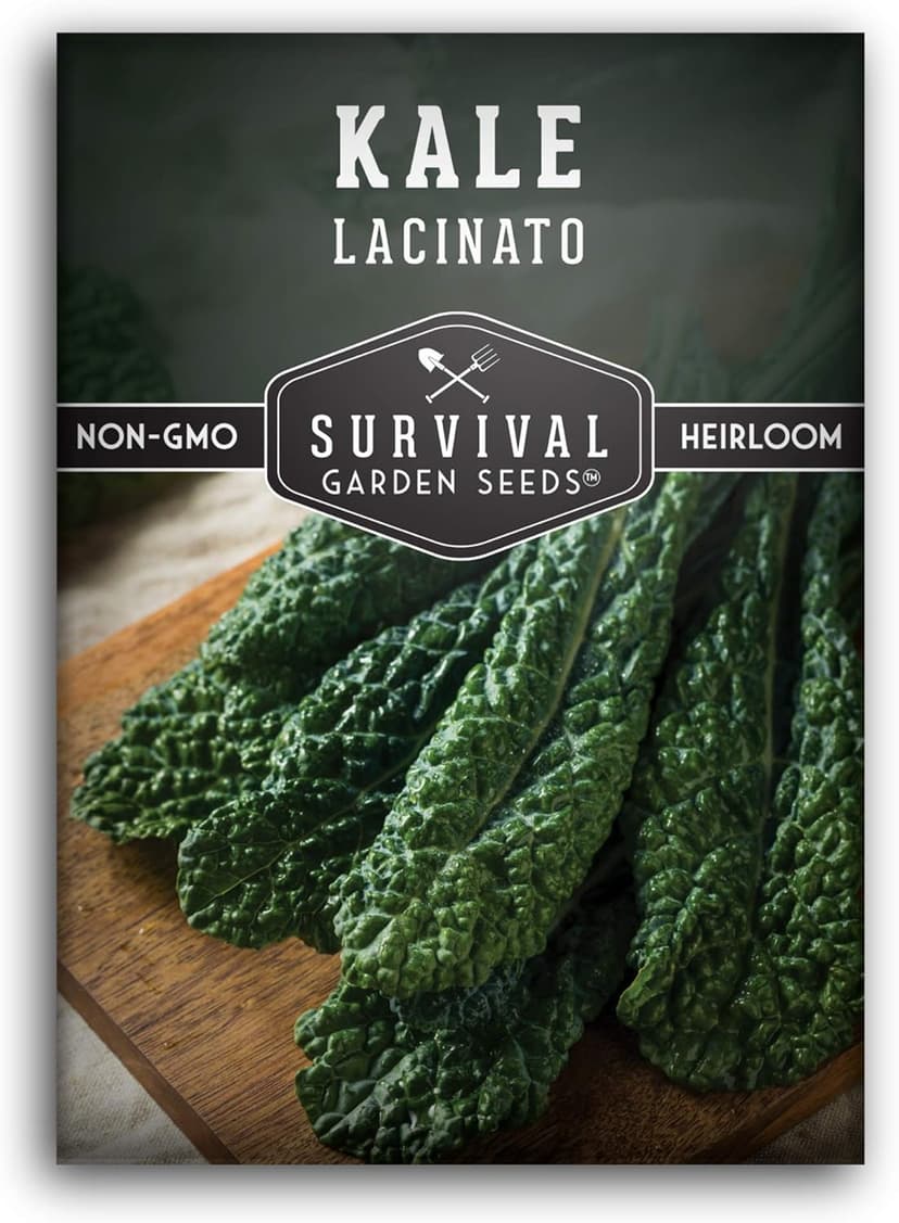 Survival Garden Seeds - Lacinato Kale Seed for Planting - Packet with Instructions to Plant and Grow in Your Home Vegetable Garden - Non-GMO Heirloom Variety