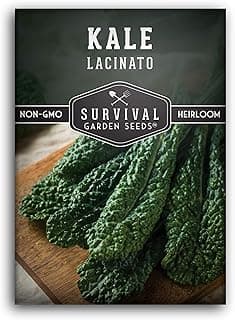 Survival Garden Seeds - Lacinato Kale Seed for Planting - Packet with Instructions to Plant and Grow in Your Home Vegetable Garden - Non-GMO Heirloom Variety
