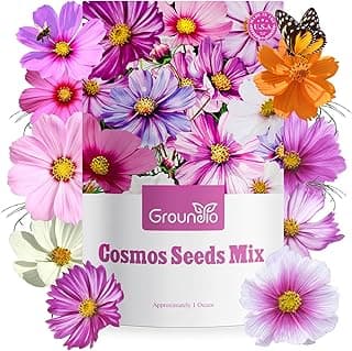 Cosmos Seeds Wildflower Mix, 1 Oz, 7 Varieties Flowers Seeds for Planting (Daydream, Gloria, Picotee, Purity, Radiance, Pinkie, Sulphur)