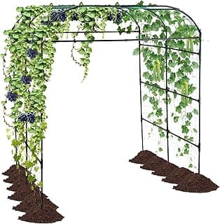 Garden Arch Trellis for Climbing Plants Outdoor, Grape Vine Tomato Bean U Frame Plant Vegetable Support, Cucumber Pergola for Backyard, Black