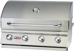 The 8 best natural gas grills of 2025
