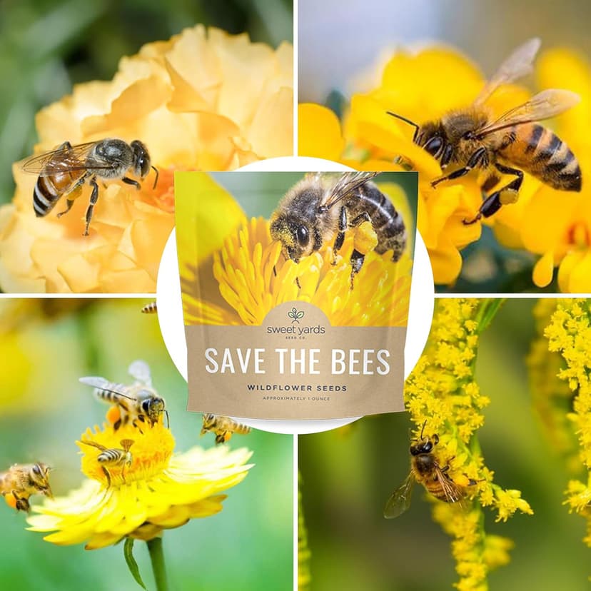 Bee Friendly Wildflower Seed Mix - Bulk 1 Ounce Packet - Over 7,500 Open Pollinated Seeds - Save The Bees!