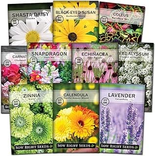 Sow Right Seeds - Large Flower Seed Collection - Coleus, Carnation, Daisy, Calendula, Alyssum, Echinacea, Lavender, Snapdragon & Zinnia - Non GMO Heirloom Seeds for Planting - 10 Packets