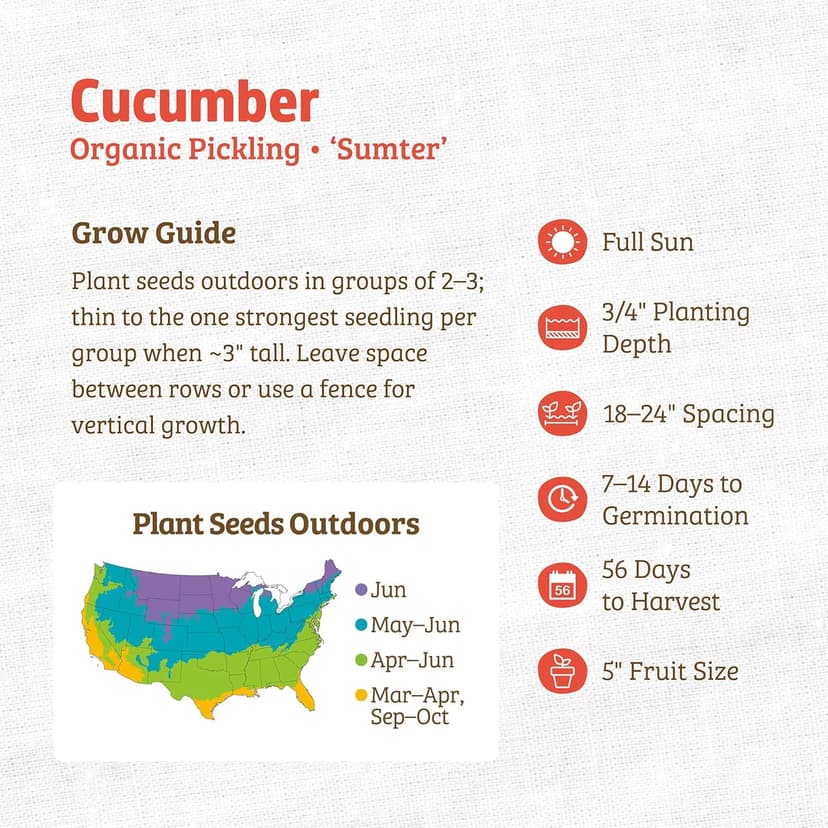 Seed Packet - Cucumber 'Sumter' 1.7g