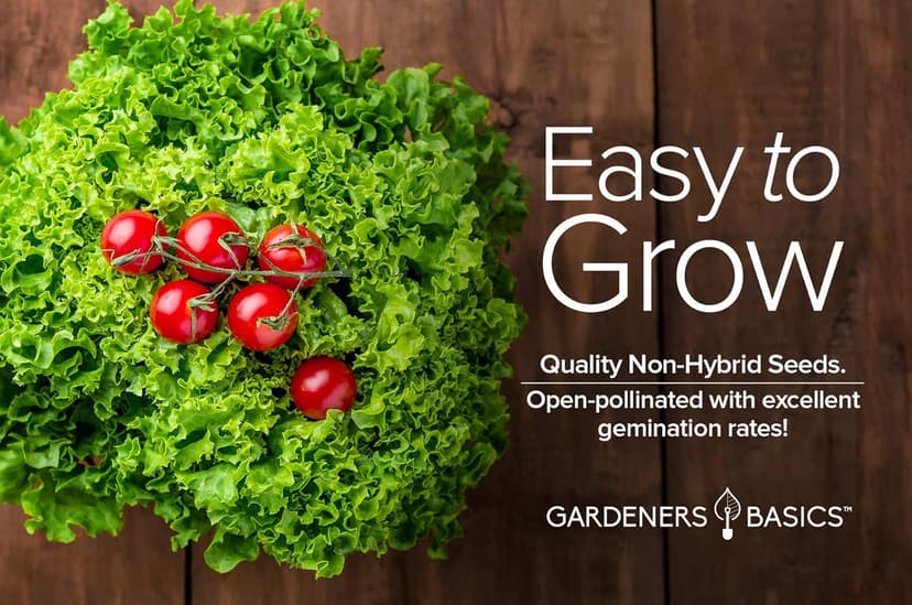 Gardeners Basics, Romaine Lettuce Seeds for Planting - Parris Island Cos Heirloom, Non-GMO Vegetable Variety- 2 Grams Seeds Great for Spring, Summer, Fall, Winter Garden and Hydroponics