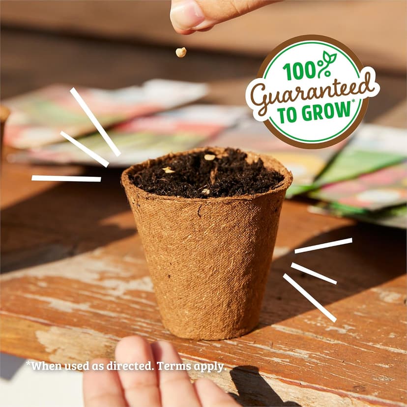 Seed Packet - Chives 'Garlic' 140mg