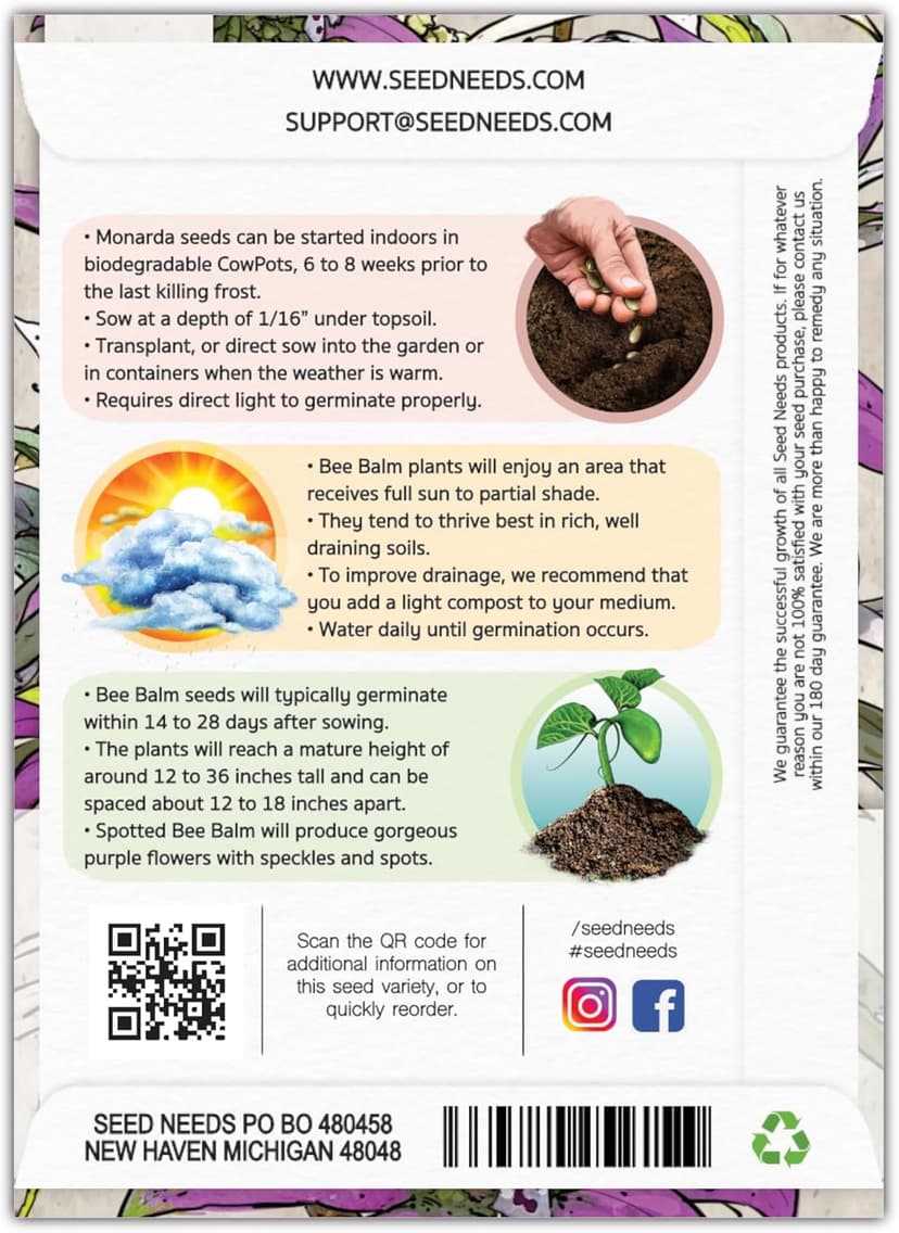 Seed Needs Spotted Bee Balm Seeds - 300 Heirloom Seeds for Planting Monarda punctata - Medicinal Horsemint Herb, Open Pollinated, Attracts Pollinators (1 Pack)