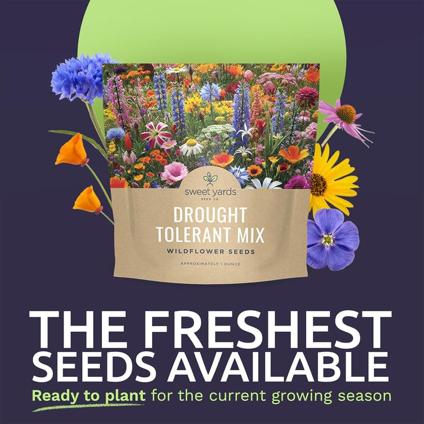 Drought Tolerant Wildflowers Mix – Extra Large Packet – Over 7,500 Open Pollinated Non-GMO Seeds – 21 Different Dryland Species