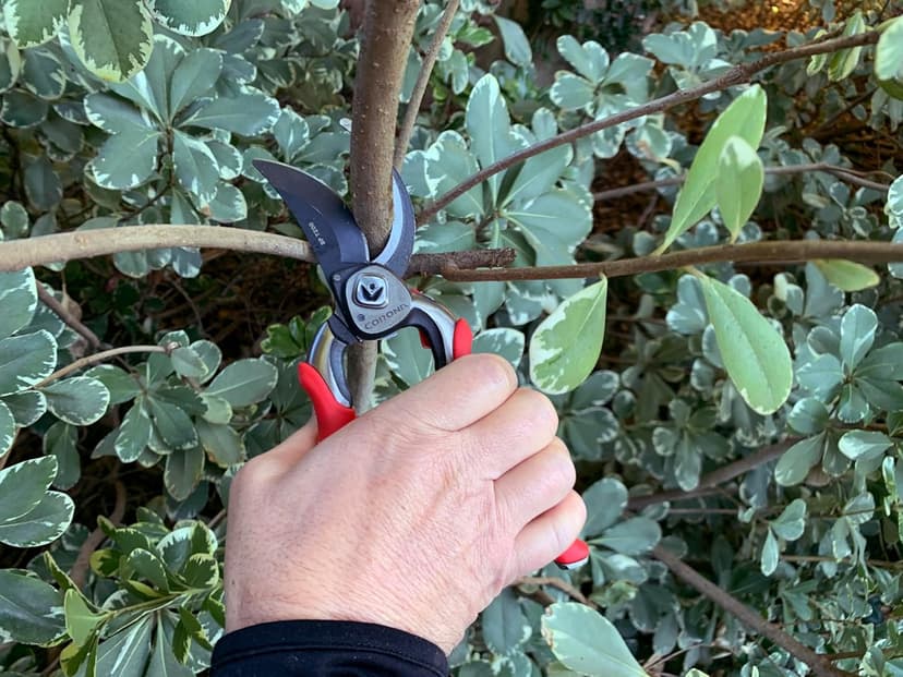 Corona BP 7200 Forged Pro Cut Bypass Hand Pruner, 1-Inch, Red