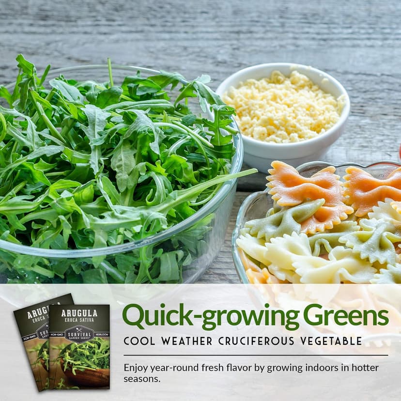 Survival Garden Seeds - Arugula Seeds for Planting - 1 Pack with Instructions to Grow Garden Rocket Green Leafy Vegetables in Your Home Vegetable Garden - Non-GMO Heirloom