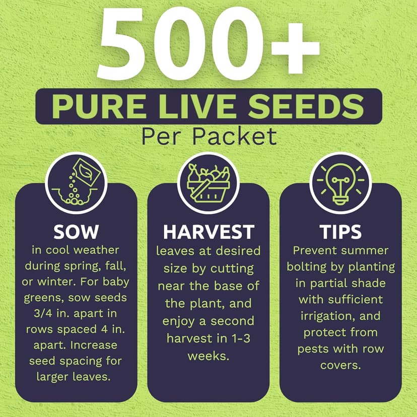 Organic Arugula Seeds - 2 SEED PACKETS! - Over 1,000 Open Pollinated Non-GMO USDA Organic Seeds