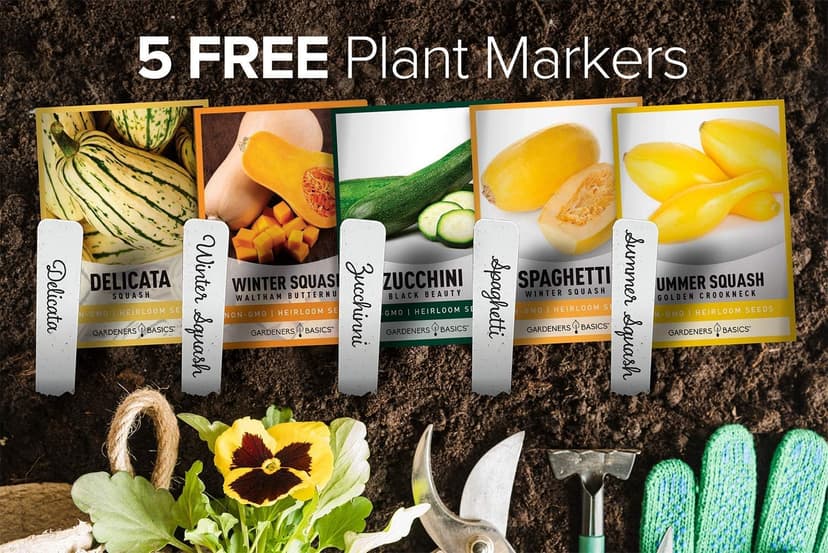 Gardeners Basics, Squash Seeds for Planting 5 Individual Packets - Zucchini, Delicata, Butternut, Spaghetti and Golden Crookneck for Your Non GMO Heirloom Vegetable Garden