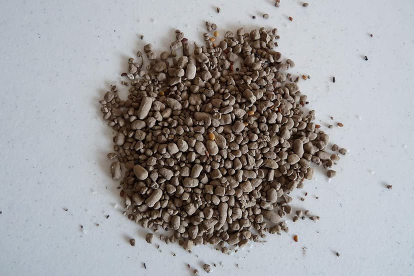 Wildflower Pollinator Mix from Earth Science, 3-in-1 Mix with Premium Wildflower Seed, Plant Food and Soil Conditioners, Non-GMO, for Bees, Hummingbirds, Butterflies, Pollinators 6 lb