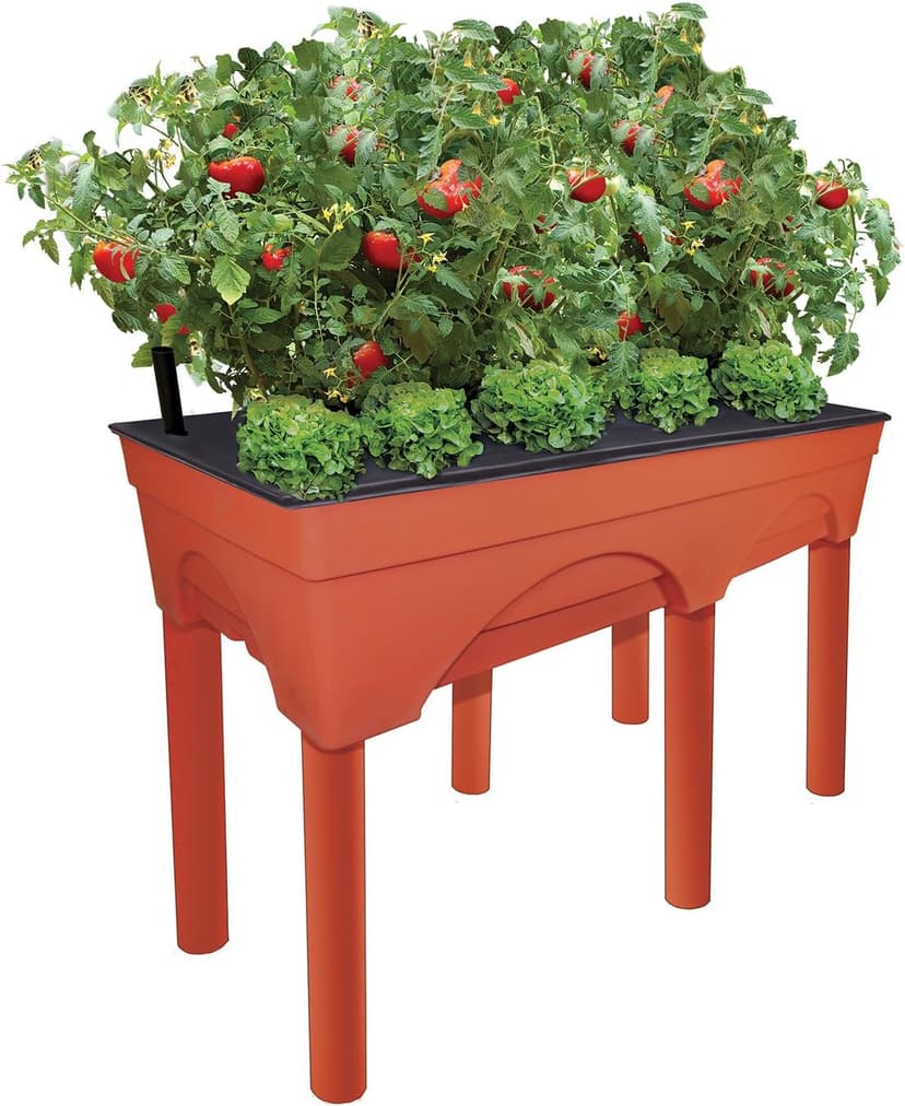 Emsco Group Big Easy Picker Raised Bed Grow Box – 30" Elevated Height – Self-Watering and Improved Aeration – Larger 48” x 20” Design