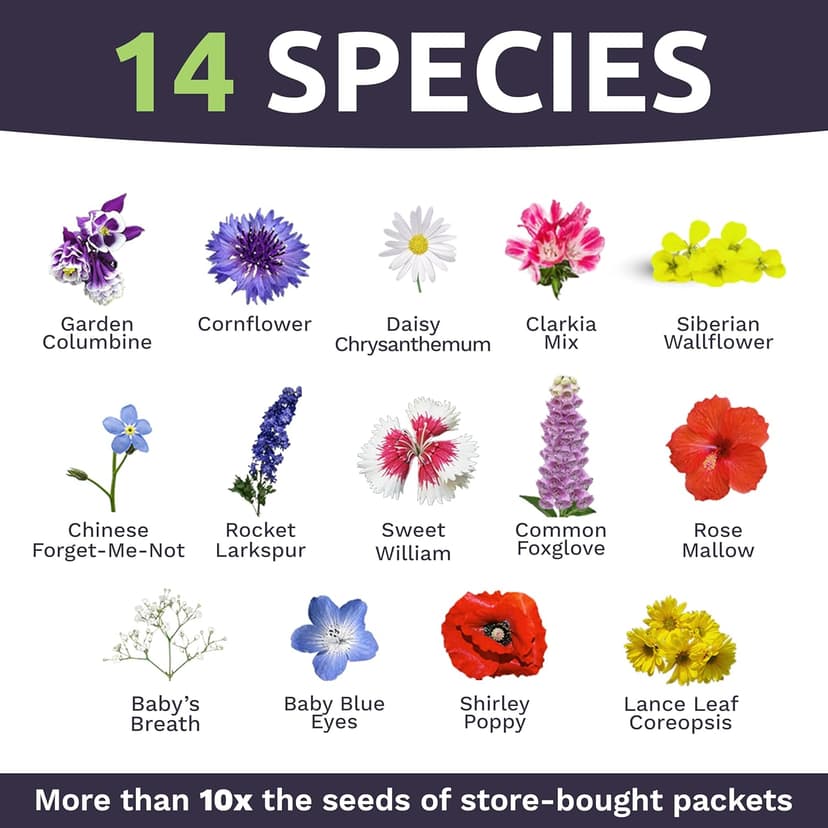 Wildflower Seeds Partial Shade Mix - 1 Ounce Over 7,000 Open Pollinated Annual and Perennial Seeds