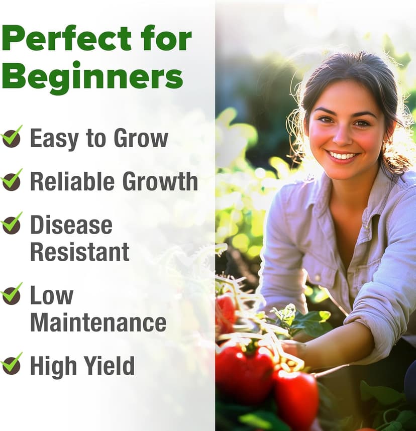 HOME GROWN San Marzano Tomato Seeds - 66 Non-GMO, USA Sourced Heirloom Tomato Seeds - Vegetable Seeds for Planting Indoor or Outdoor (Solanum lycopersicum)