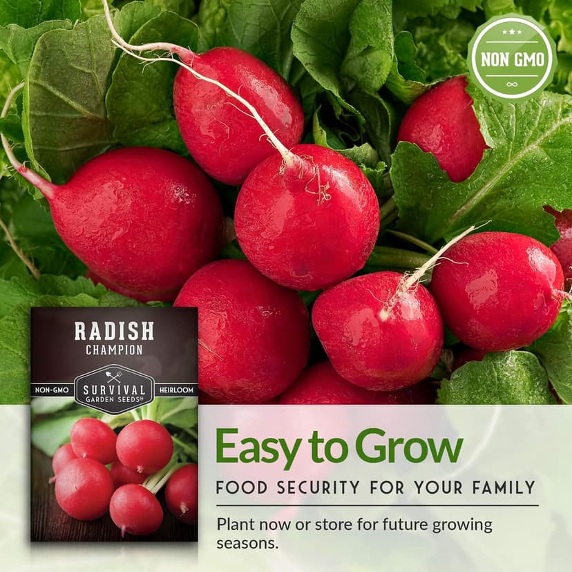 Survival Garden Seeds - Champion Radish Seed for Planting - Packet with Instructions to Plant and Grow Red Radishes in Your Home Vegetable Garden - Non-GMO Heirloom Variety Vegetable Seed