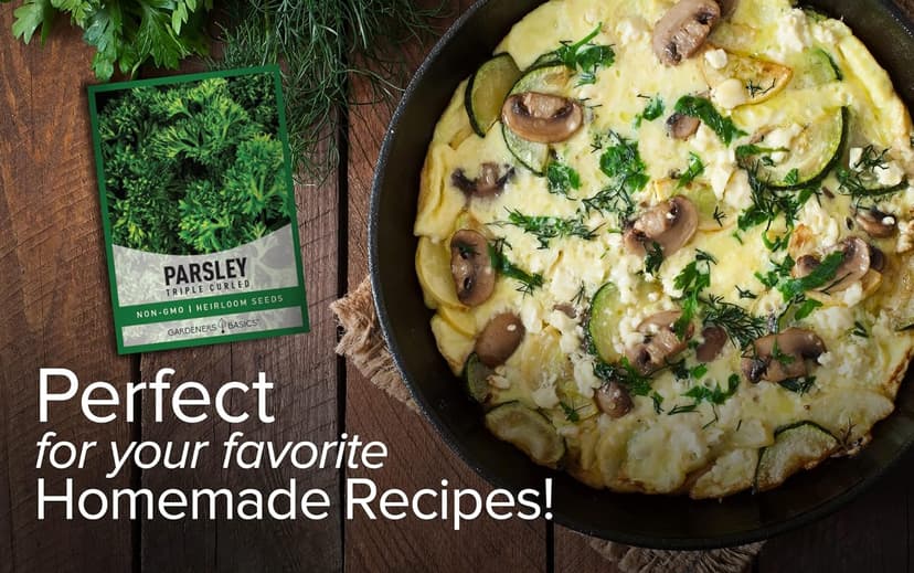 Gardeners Basics, Curled Parsley Seeds for Planting Indoors and Outdoors Heirloom, Open-Pollinated, Non-GMO Curly Herb Variety- Great for Home Gardens and More