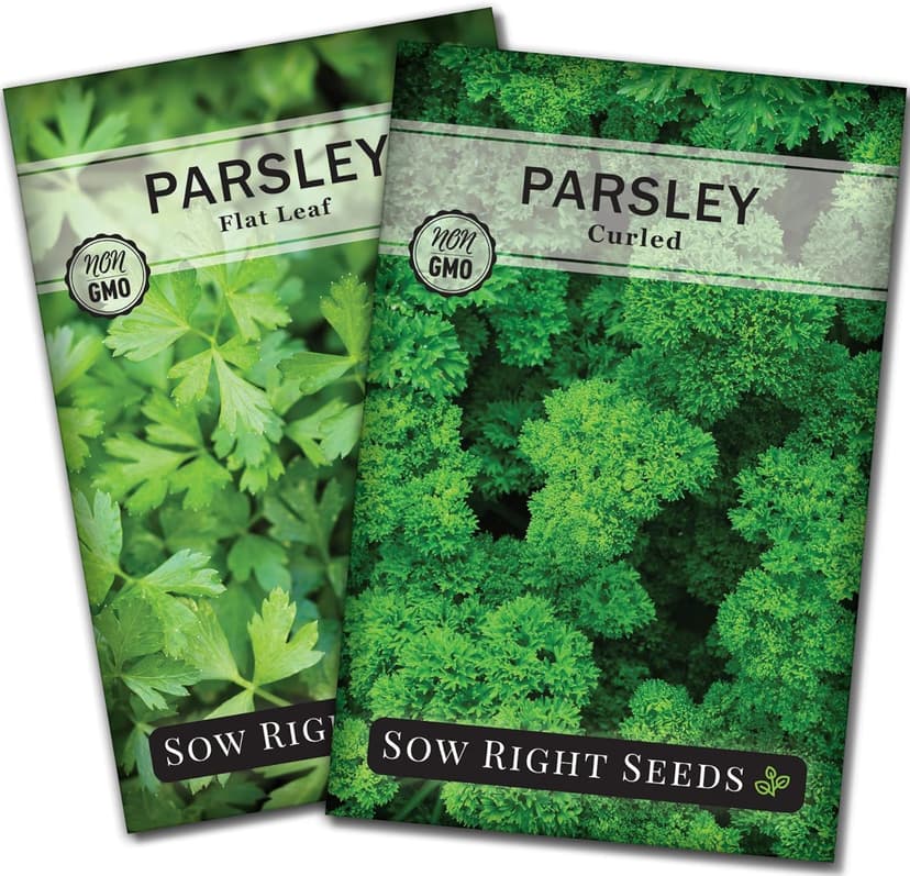 Sow Right Seeds - Flat and Curly Leaf Parsley Seed Collection for Planting - Non-GMO Heirloom Packet with Instructions to Plant and Grow a Kitchen Herb Garden - Indoors or Outdoors - Culinary Garnish