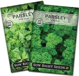 Sow Right Seeds - Flat and Curly Leaf Parsley Seed Collection for Planting - Non-GMO Heirloom Packet with Instructions to Plant and Grow a Kitchen Herb Garden - Indoors or Outdoors - Culinary Garnish