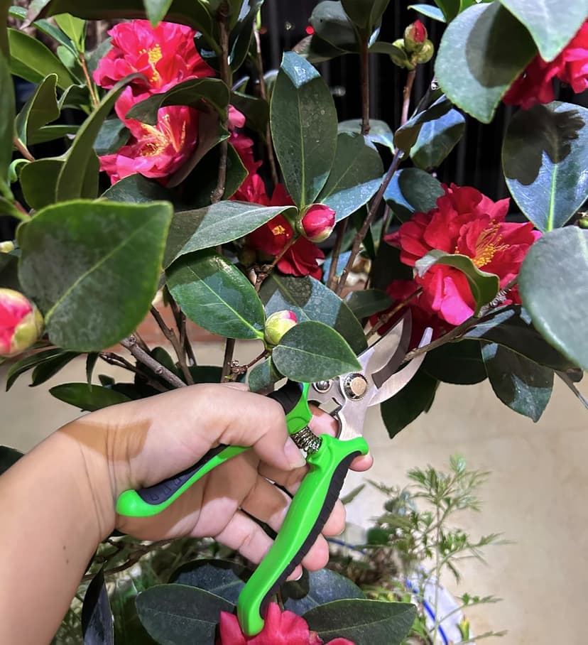 Gardening Tools.Gardening Hand Tools, Gardening Tools, 8 Piece Set Heavy Duty, Gardening Tools Set with Non Slip Rubber, with Garden Kit.