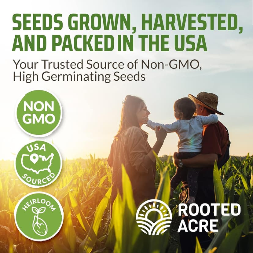 Rooted Acre 8 Varieties Hot Peppers – 240 Heirloom Seeds, 𝗡𝗢𝗡-𝗚𝗠𝗢 𝗨𝗦𝗔-𝗦𝗢𝗨𝗥𝗖𝗘𝗗, High Germination – Includes Ghost, Jalapeño, Serrano, California Wonder & More – Spicy Pepper Garden Mix