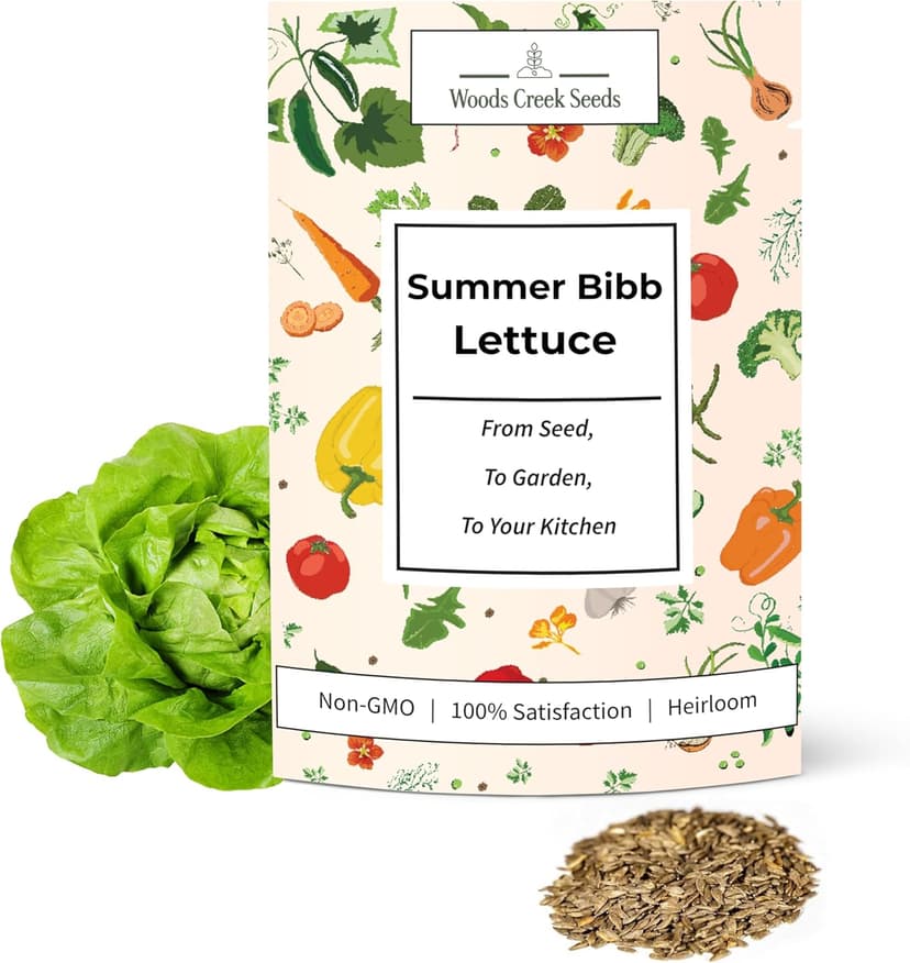Summer Bibb Heirloom Lettuce Seeds for Planting - Over 2,700 Non-GMO Seed Pack for Growing Indoors, Outdoors, or as Hydroponic Seeds - Beginner-Friendly Green Leaf Lettuce Seed
