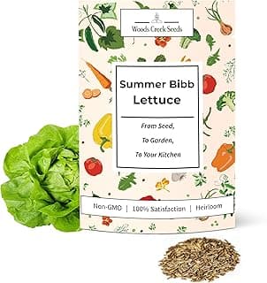 Summer Bibb Heirloom Lettuce Seeds for Planting - Over 2,700 Non-GMO Seed Pack for Growing Indoors, Outdoors, or as Hydroponic Seeds - Beginner-Friendly Green Leaf Lettuce Seed