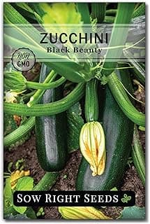Sow Right Seeds - Black Beauty Zucchini Seeds for Planting - Non-GMO Heirloom Packet with Instructions to Plant a Home Vegetable Garden - Summer Squash - Classic Zucchini Good for Large Containers (1)