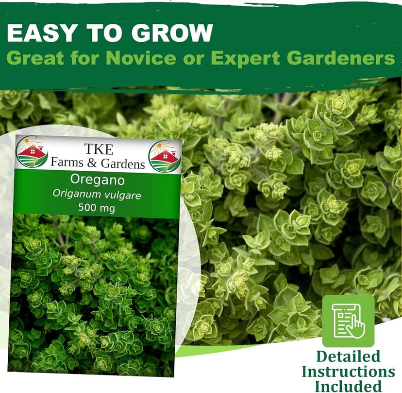 Oregano Seeds for Planting, 3000+ Non-GMO Heirloom Seeds, 500mg, Open Pollinated Perennial Herb, Origanum vulgare, for Indoor & Outdoor Gardens, Qty 1