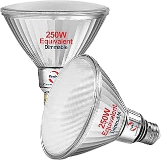 Explux 250 Watt Equivalent PAR38 LED Flood Light Bulbs, Super Bright 3300 Lumens, Dimmable, Full-Glass Outdoor Waterproof & Anti-Ageing, 5000K Daylight Spotlight, 2-Pack