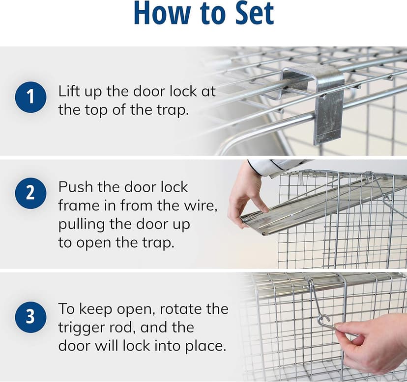 HAVAHART 1079SR Large 1-Door Humane Catch and Release Live Animal Trap Cage - Live Raccoon Trap, for Bobcats, Beavers, Dogs, & More