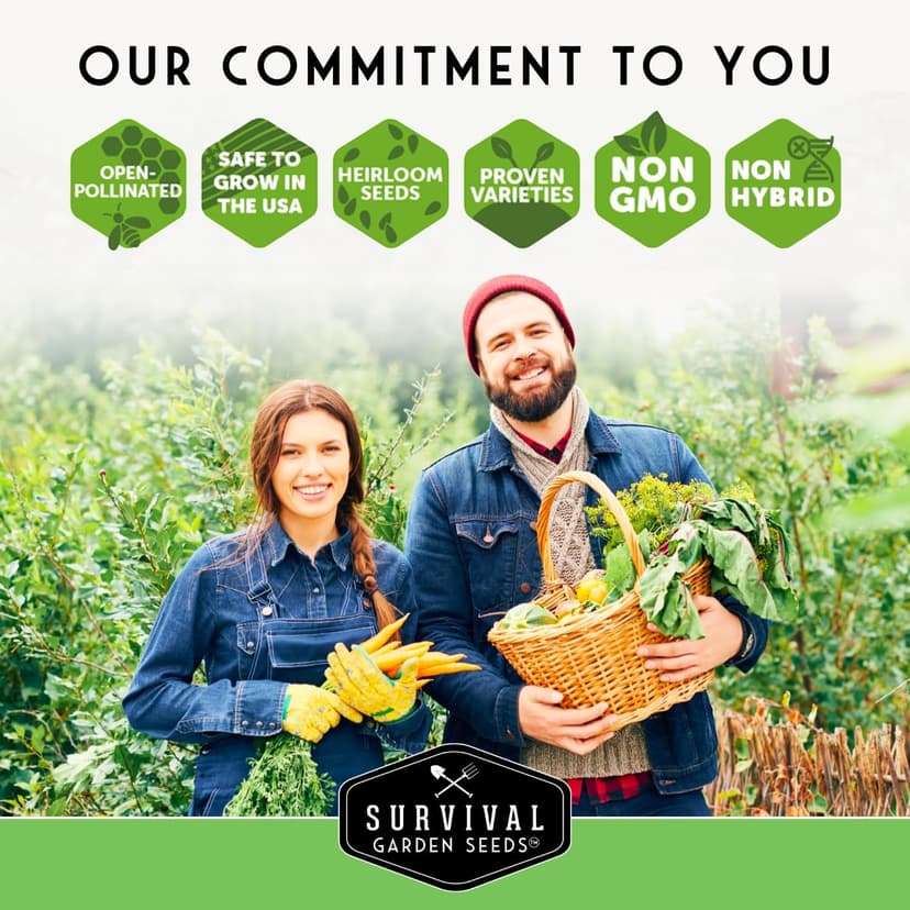 12 Vegetable Seed Variety Pack - Broccoli, Carrot, Basil, Lettuce, Onion, Pepper, Swiss Chard, Tomato, Cucumber, Spinach, Zucchini, Spaghetti Winter Squash - Non-GMO Heirloom - Survival Garden Seeds
