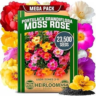 The 13 best annual flower seeds of 2025