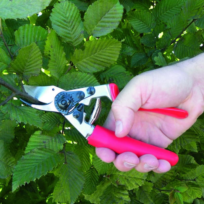 FELCO Pruning Shears (F 12) - High Performance Swiss Made One-Hand Garden Pruner with Steel Blade