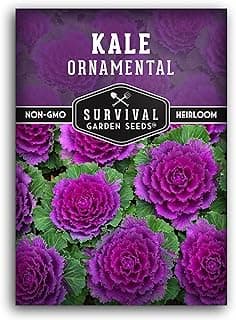 Ornamental Kale Seed for Planting - 1 Packet with Instructions for Growing Ornamental Flowering Kale Plants in Your Home Vegetable Garden - Non-GMO Heirloom Variety - Survival Garden Seeds