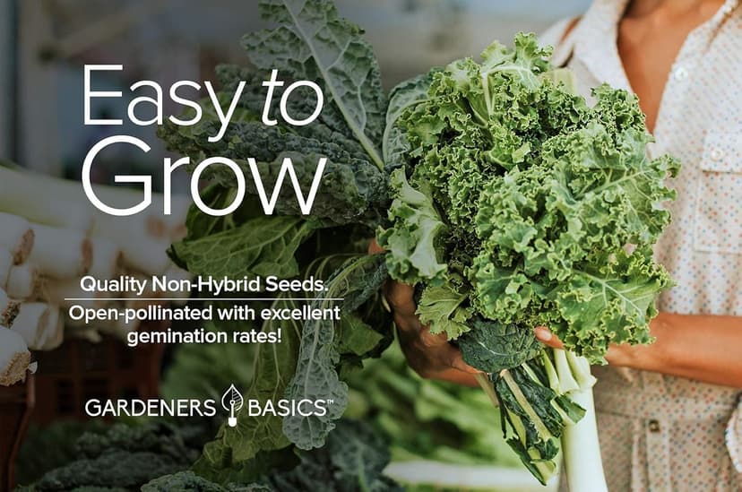 Gardeners Basics, Kale Seeds for Planting, Heirloom, Non-GMO Vegetable Variety - Great for Indoor, Outdoor, and Hydroponics Gardening (Vates Blue Scotch Curled)