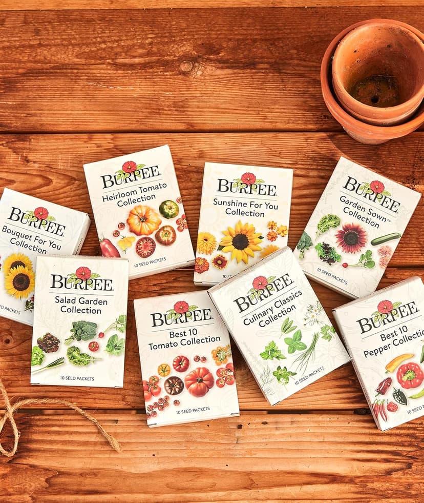 Burpee Best 10 Non-GMO Planting Tomato Seeds for Garden Gifts (1 Pack)
