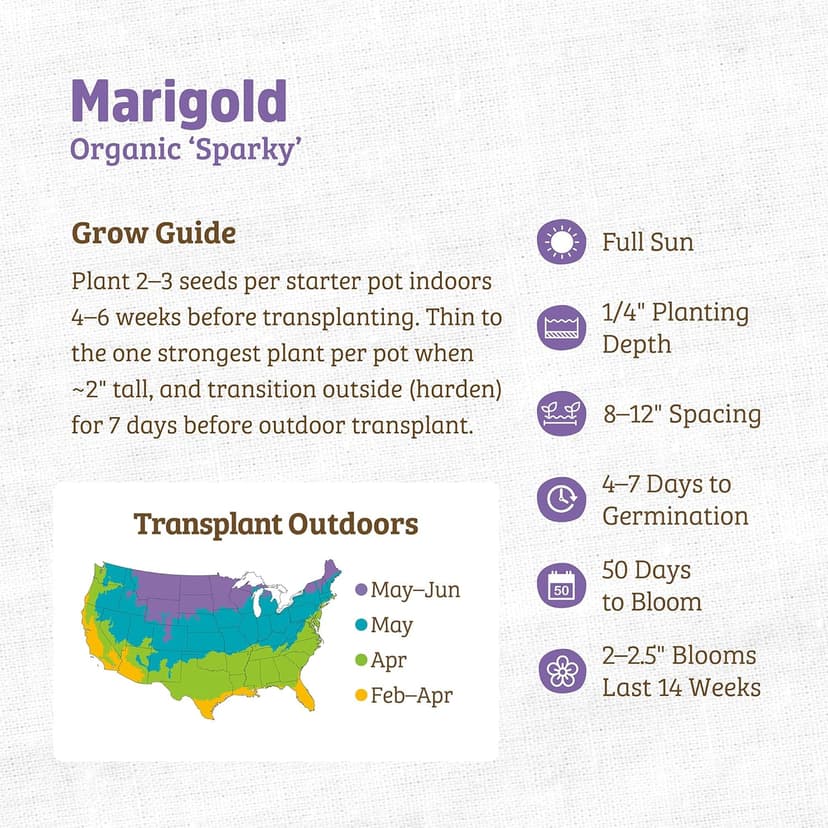Seed Packet - Marigold 'Sparky' 420mg