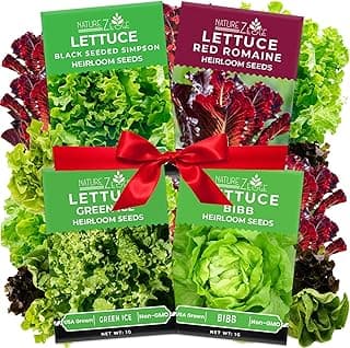 Lettuce Seeds for Planting, Red Romaine Lettuce, Bibb Butter Lettuce, Black Seeded Simpson, Green Ice Iceberg Lettuce, Non-GMO…