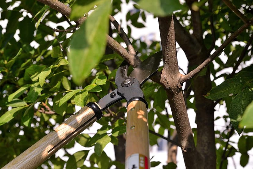 KAKURI Japanese Bypass Loppers Pruners for Tree Trimming 24", Heavy Duty Professional Long Handle Pruning Shears for Large Limb and Branch Cutting, Made in Japan