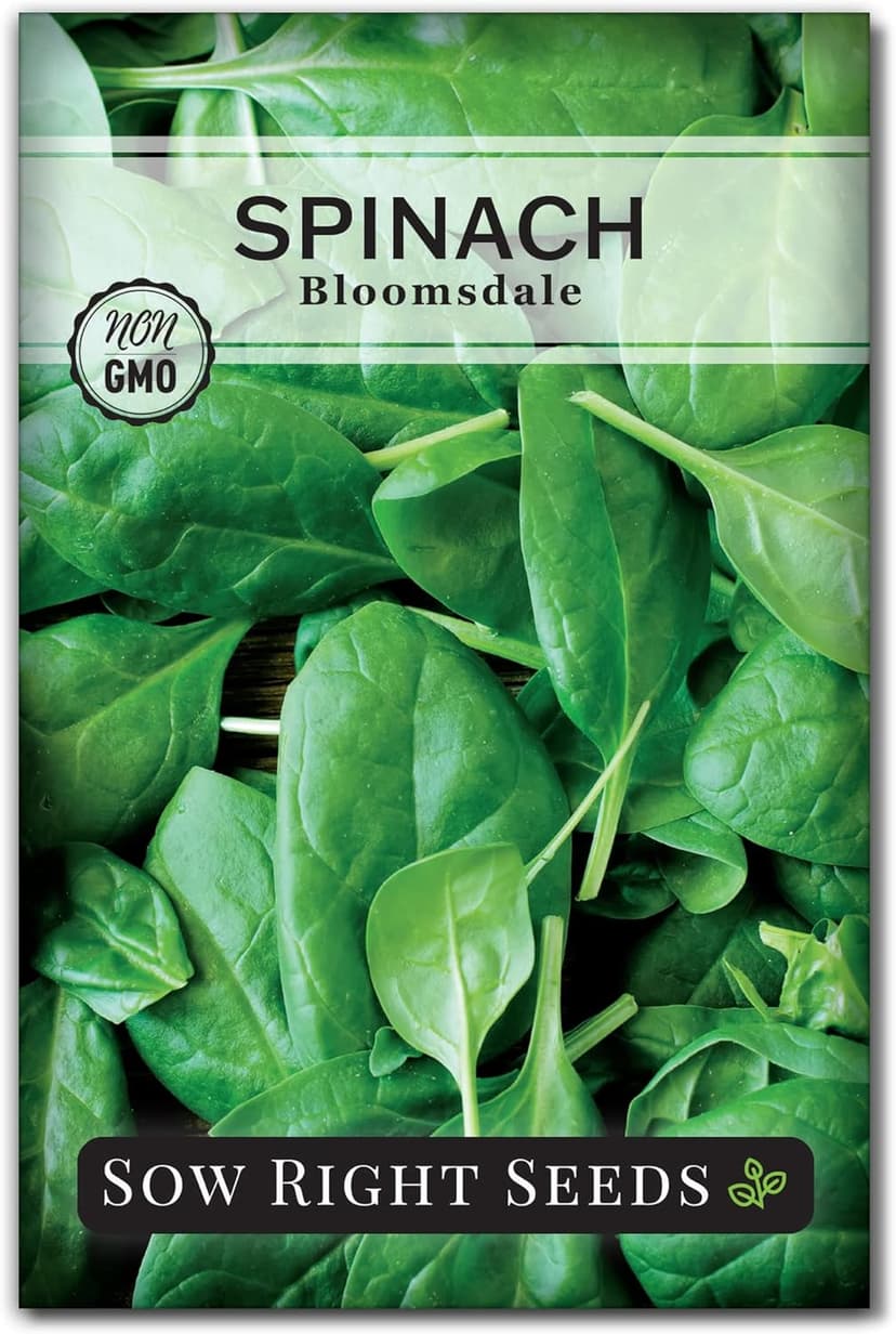 Sow Right Seeds - Bloomsdale Spinach Seeds for Planting - Non-GMO Heirloom Packet with Instructions to Plant and Grow an Outdoor Home Vegetable Garden - Vigorous Leafy Green - Super Nutritious (1)