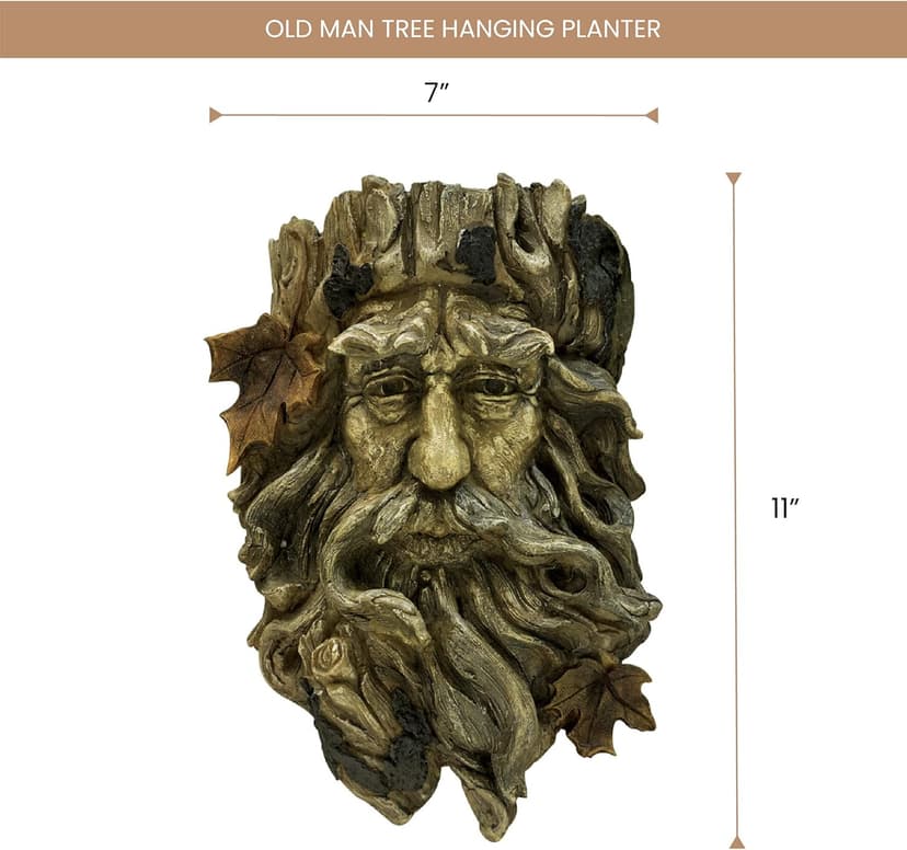 Bits and Pieces - 'Old Man' Tree Hanging Planter - Yard Decorations - Whimsical Tree Sculpture - Indoor/Outdoor Decoration - Garden Peeker Yard Art
