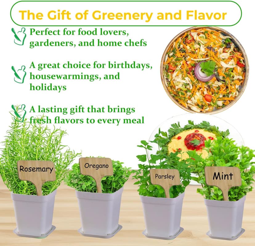 Indoor Herb Garden Kit, 9 Non-GMO Seeds with Reusable Pots, Planter – DIY Grow Kits for Growing Herbs Indoors, Kitchen, Balcony, Window Sill with 27 Soil