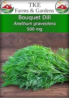 Dill Seeds for Planting Outdoors, 500 mg, 400 Heirloom Non-GMO Bouquet Dill Seeds, Includes Instructions to Plant and Grow, Perfect for Dill Pickles, Qty 1
